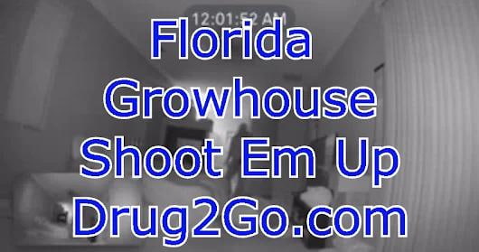 Video – Florida Growhouse Shoot Em Up