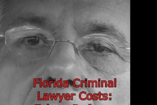 Florida Criminal Lawyer