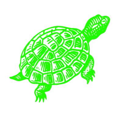 Turtle